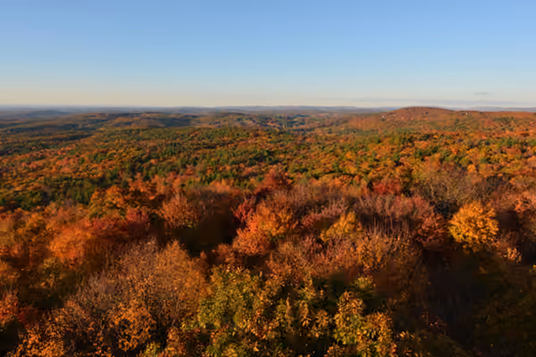 Beebe Hill State Forest