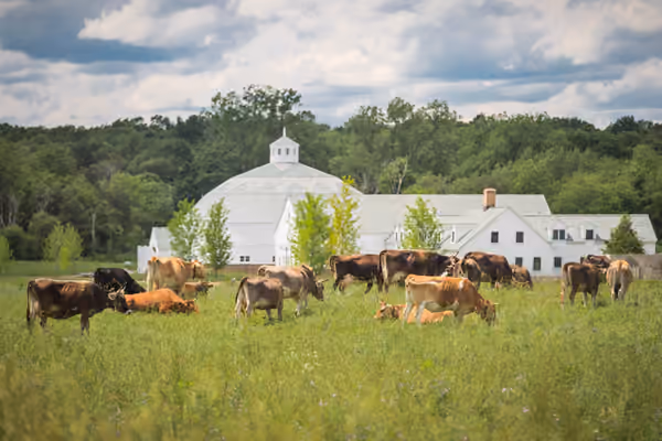 Churchtown Dairy
