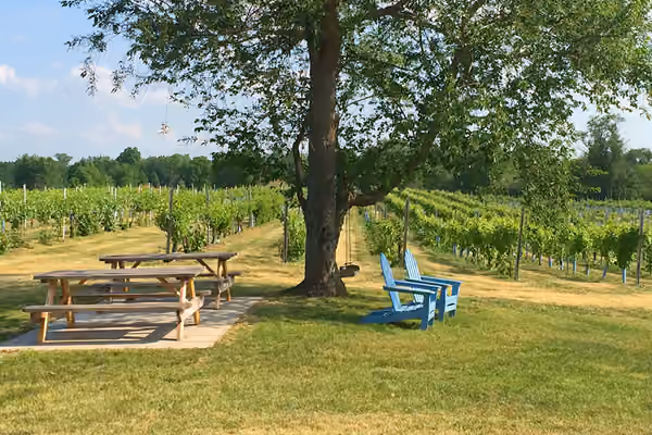 Clermont Vineyards & Winery