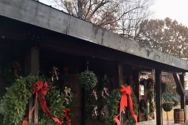 Cold Spring Tree Farm