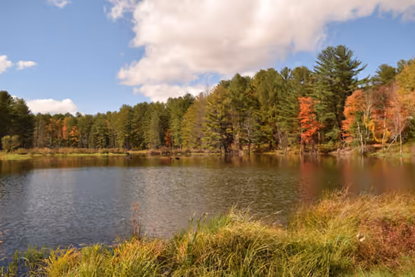 Hand Hollow Public Conservation Area