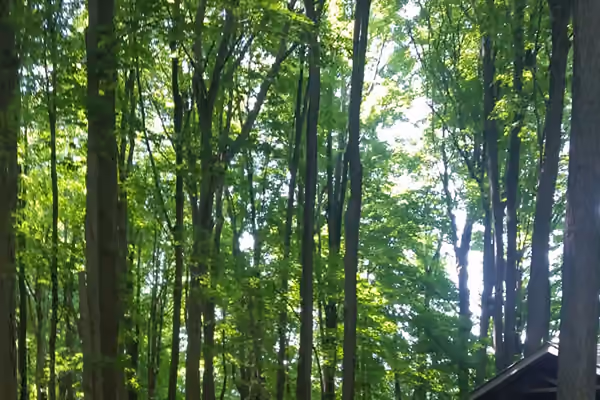 Martin Van Buren Nature Trails