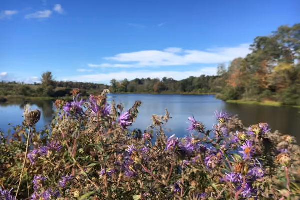 Ooms Public Conservation Area