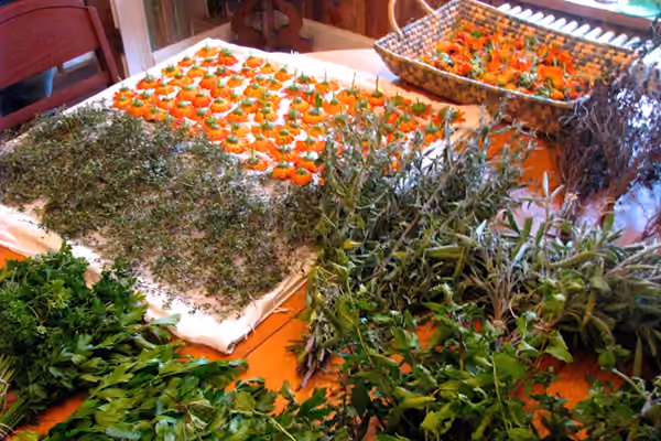 Rocky Fresh Farm