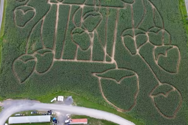 Samascott Orchards