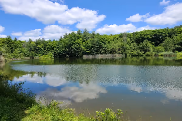 Schor Public Conservation Area