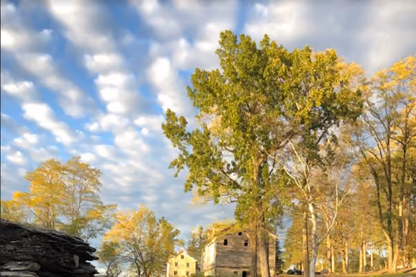 The Ruins at Sassafras