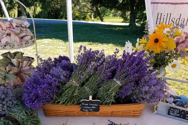 Vine Gate Lavender Floral Farm