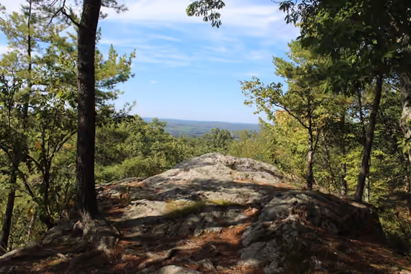 Wilson M. Powell Wildlife Sanctuary